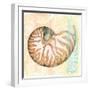 Golden Treasures IV-Beth Grove-Framed Art Print