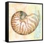 Golden Treasures IV-Beth Grove-Framed Stretched Canvas