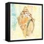 Golden Treasures V-Beth Grove-Framed Stretched Canvas