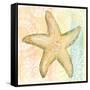 Golden Treasures VI-Beth Grove-Framed Stretched Canvas