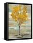 Golden Tree and Fog I-Silvia Vassileva-Framed Stretched Canvas