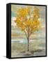 Golden Tree and Fog I-Silvia Vassileva-Framed Stretched Canvas