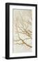 Golden Tree I-Alessio Aprile-Framed Giclee Print