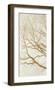 Golden Tree I-Alessio Aprile-Framed Giclee Print