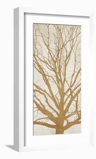 Golden Tree II-Alessio Aprile-Framed Giclee Print