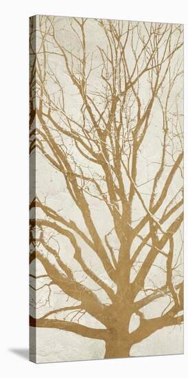 Golden Tree II-Alessio Aprile-Stretched Canvas
