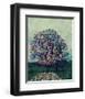 Golden tree shine-Claire Westwood-Framed Art Print