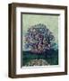 Golden tree shine-Claire Westwood-Framed Art Print