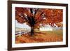 Golden Tree-Bill Coleman-Framed Giclee Print