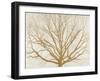 Golden Tree-Alessio Aprile-Framed Giclee Print