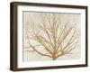 Golden Tree-Alessio Aprile-Framed Giclee Print