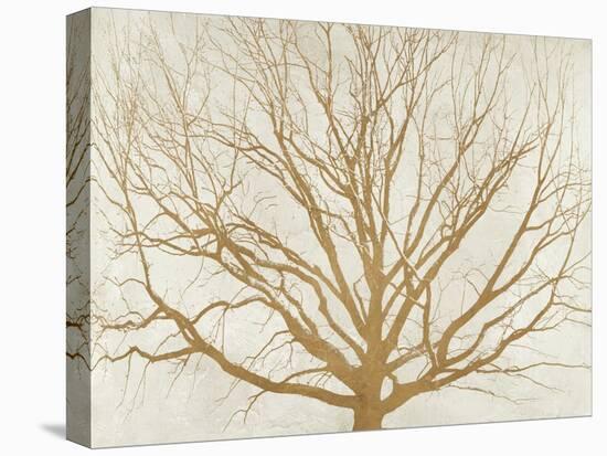 Golden Tree-Alessio Aprile-Stretched Canvas