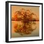 Golden Tree-Philippe Sainte-Laudy-Framed Photographic Print