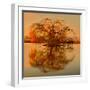 Golden Tree-Philippe Sainte-Laudy-Framed Photographic Print