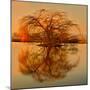 Golden Tree-Philippe Sainte-Laudy-Mounted Photographic Print