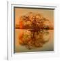 Golden Tree-Philippe Sainte-Laudy-Framed Giclee Print