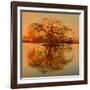 Golden Tree-Philippe Sainte-Laudy-Framed Giclee Print