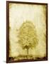 Golden Tree-OnRei-Framed Art Print