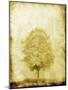 Golden Tree-OnRei-Mounted Art Print