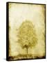 Golden Tree-OnRei-Framed Stretched Canvas