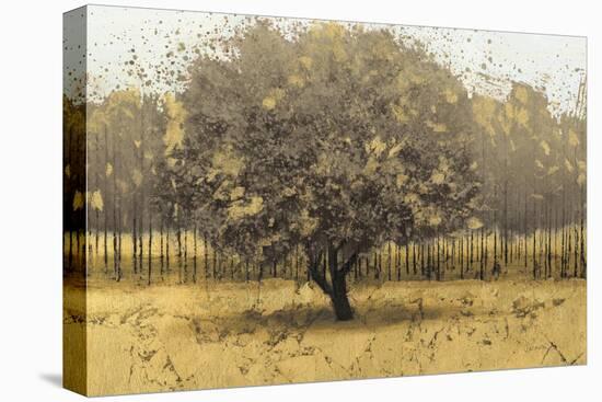 Golden Trees I Taupe-James Wiens-Stretched Canvas