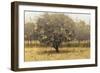 Golden Trees I Taupe-James Wiens-Framed Art Print