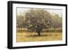 Golden Trees I Taupe-James Wiens-Framed Art Print