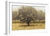 Golden Trees I Taupe-James Wiens-Framed Art Print