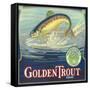 Golden Trout Orange Label - Lindsay, CA-Lantern Press-Framed Stretched Canvas