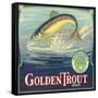 Golden Trout Orange Label - Lindsay, CA-Lantern Press-Framed Stretched Canvas