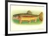 Golden Trout-null-Framed Premium Giclee Print