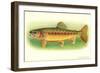 Golden Trout-null-Framed Art Print