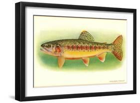 Golden Trout-null-Framed Art Print