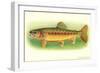 Golden Trout-null-Framed Art Print