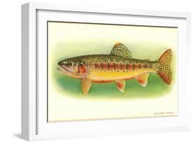 Golden Trout-null-Framed Art Print