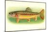 Golden Trout-null-Mounted Art Print