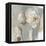 Golden Tulip-PI Studio-Framed Stretched Canvas