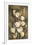 Golden Tulips-Linda Thompson-Framed Giclee Print