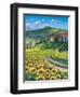 Golden Tuscana-Scott Westmoreland-Framed Art Print