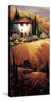 Golden Tuscany-Nancy O'toole-Stretched Canvas