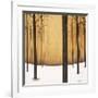 Golden Twilight-Patrick St^ Germain-Framed Giclee Print