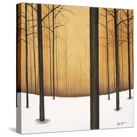 Golden Twilight-Patrick St^ Germain-Stretched Canvas