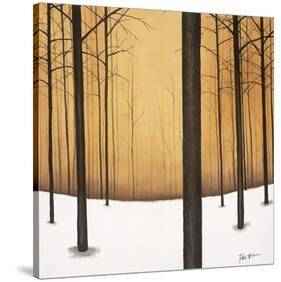 Golden Twilight-Patrick St^ Germain-Stretched Canvas