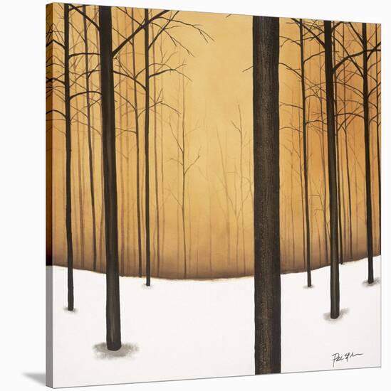 Golden Twilight-Patrick St^ Germain-Stretched Canvas