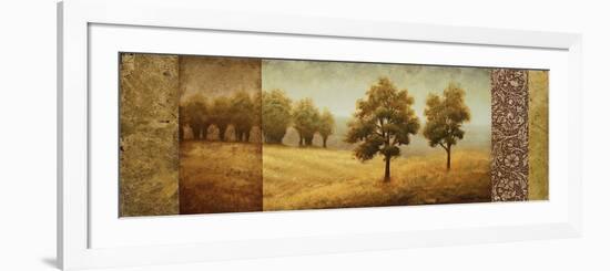 Golden Valley I-Michael Marcon-Framed Art Print