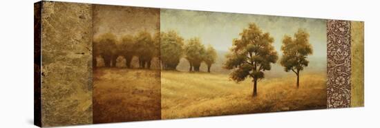 Golden Valley I-Michael Marcon-Stretched Canvas