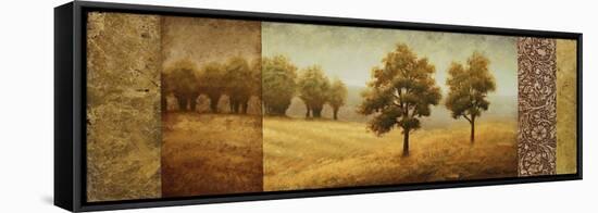 Golden Valley I-Michael Marcon-Framed Stretched Canvas