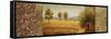 Golden Valley II-Michael Marcon-Framed Stretched Canvas