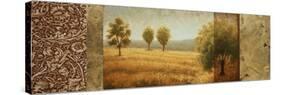 Golden Valley II-Michael Marcon-Stretched Canvas