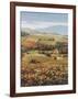 Golden Vineyard I-Ahn Seung Koo-Framed Art Print